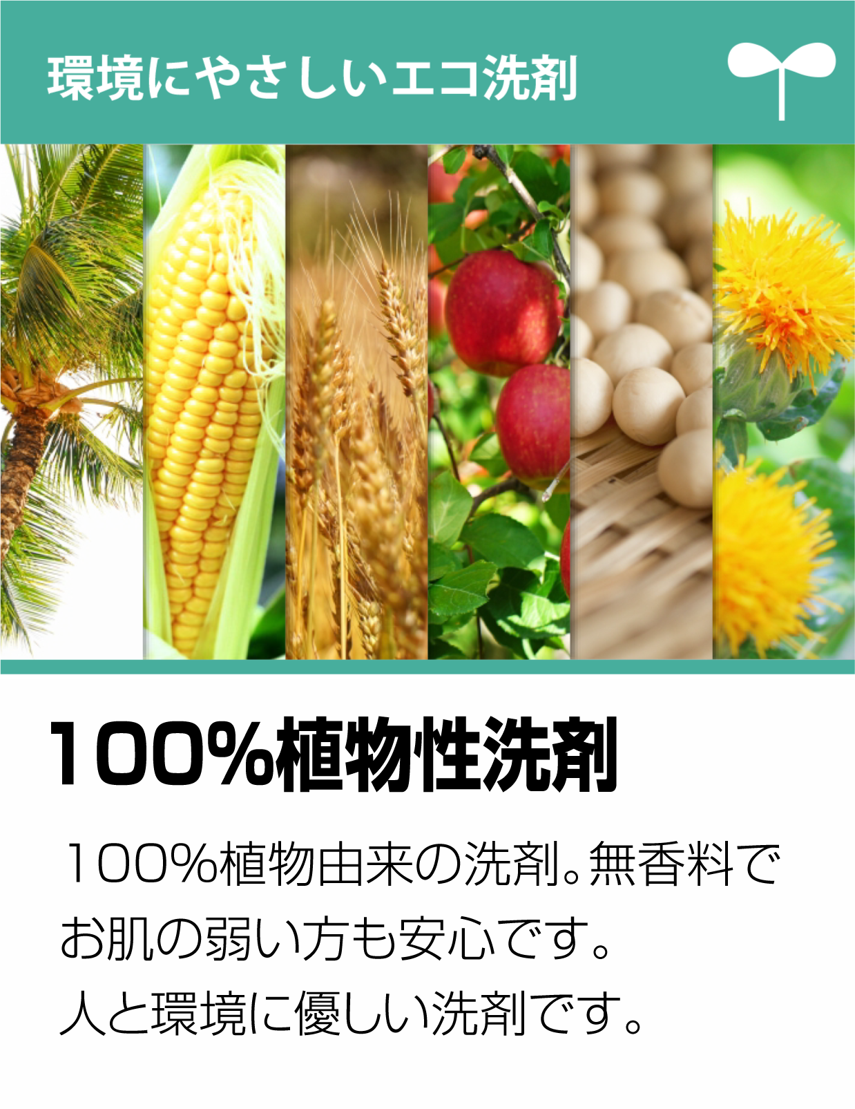 100％植物性洗剤